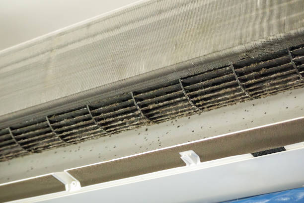 Best HVAC Duct Inspection Services  in The Hills, TX
